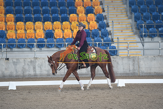 Western Dressage National Show - 16 to 18th August 2024