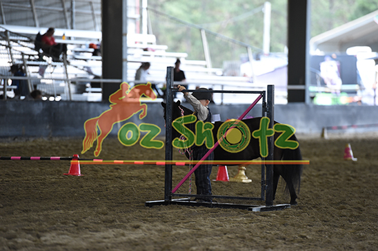 AMHS QLD State Championship Show - 21st-25th August 2024