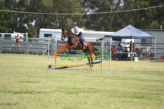 Rosewood Pony Club Showjumping Day - 22nd Sept 2024