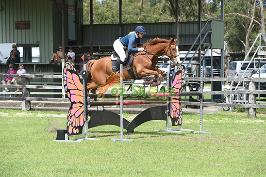 Tweed and District Spring and Show Jumping Festival - 26th and 27th Oct 2024