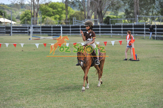 Rosewood Pony Club Express Working Equitation - 3rd November 2024