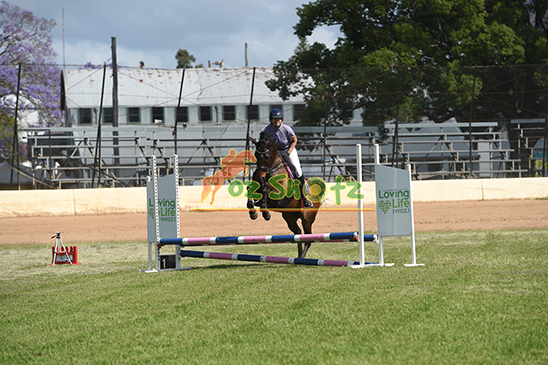 Jacaranda Weekend of Jumping - 3rd November 2024